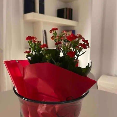 Vatican Appartement Rome