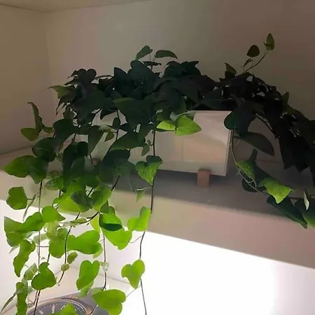 Vatican Appartement *